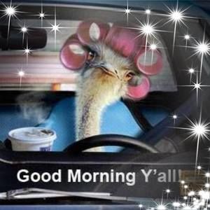 Meet your Posher, Joyce